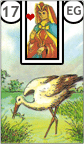 A Cegonha