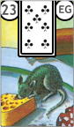 O Rato