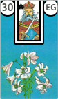 Os Lírios